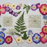 How Pressed Flower Art Preserves Natural Beauty Creatively