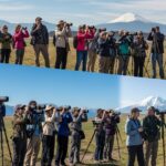 Growing Popularity of Birdwatching Among Nature Enthusiasts Worldwide